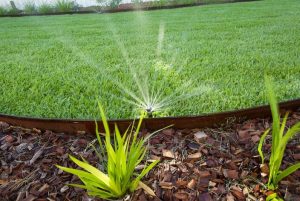Reticulation Installation and Repair